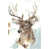 Cadre noir n'est pas disponible