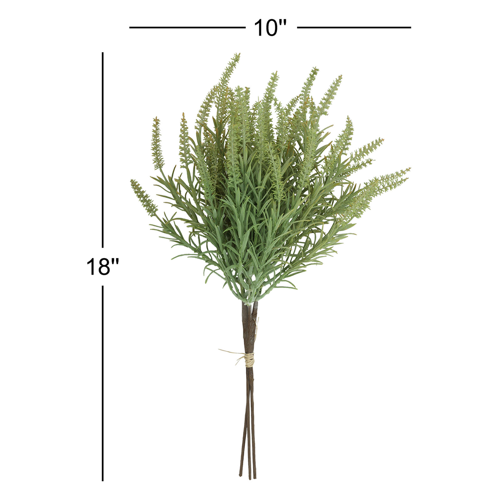 Eula Astilbe Stems, Green