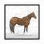 « natural charme i », reproduction d’impression sur toile tendue-27700276-72453948-72453953