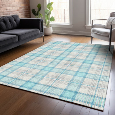 Machine Washable Indoor/Outdoor Chayden ACN1052 Rug