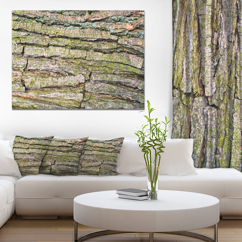« épais tree skin-up », reproduction de photo sur toile tendue, H 30 po x l 40 po x P 1 po