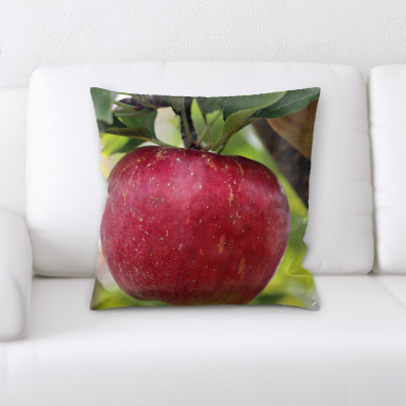 Coussin pomme