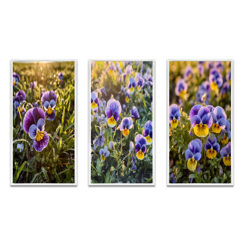 «Purple Yellow Natures Pansies», 3 pièces sur toile, Cadre flottant blanc, H 32 po x l 48 po