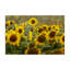 Toile centrale de tournesol dans la prairie, conception par Andy Crawford-1528208698