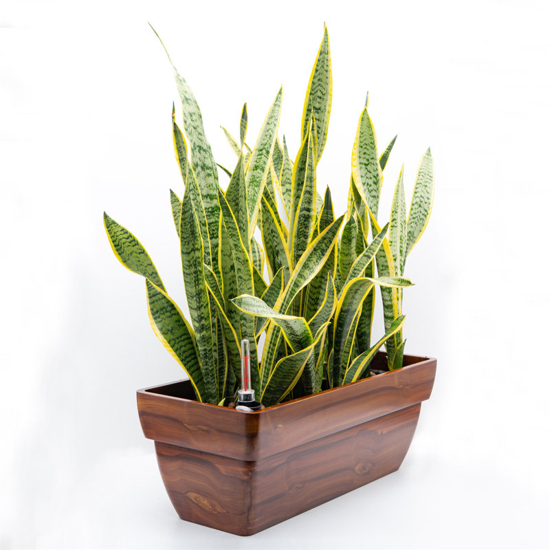 Demaline 7.8 in. Dark Wood Plastic Rectangle Self-watering Planter Pot