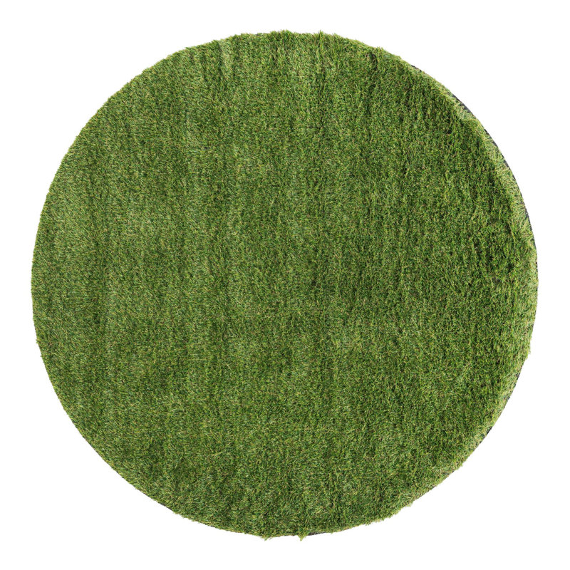 Cathlyn Indoor / Outdoor Rug, Round 4'1"