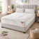 Wayfair Sleep Pocket Sprung 800 Mattress