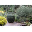 Pot de fleurs en grès extra large de style nigérian - Intérieur/Extérieur-1476354132