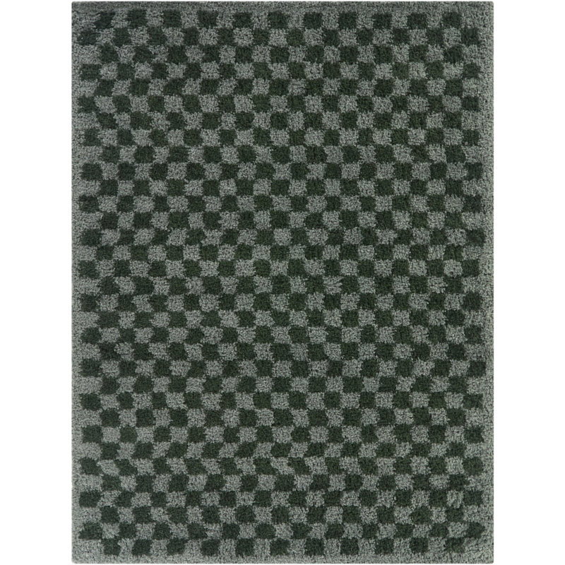 Wingate Green/Grey Checkered Shag Area Rug, Rectangle 7'10" x 10'
