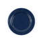 Stinson Enamelware Dinner Plate-868378540