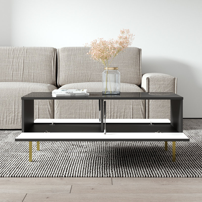 Winchelsea 47.2" Coffee Table with High Gloss Finish, Black, Black/Gold