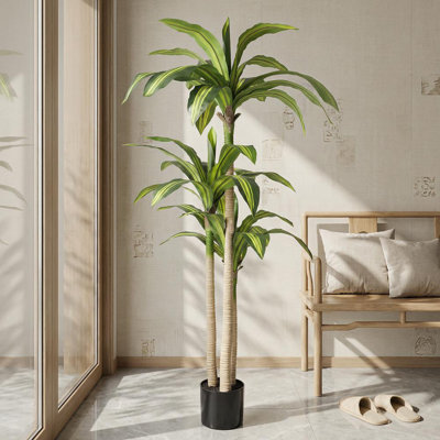 Arbre dracaena artificiel 5 'avec pot en plastique noir