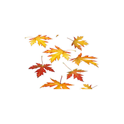 Autumn Leaves - Wrapped Canvas Print