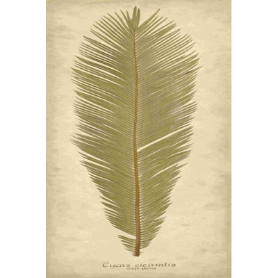 " Sago Palm II " by Becky Davis