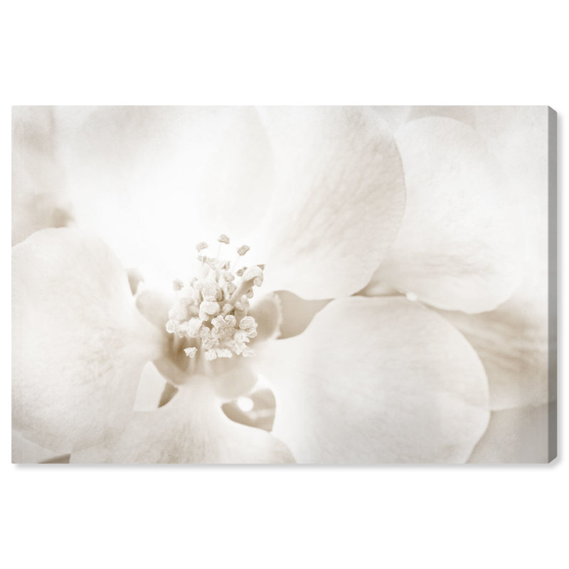 «Floral and Botanical Orchid Love», reproduction d'art graphique sur toile, H 24 po x l 36 po, Toile tendue, Sans cadre