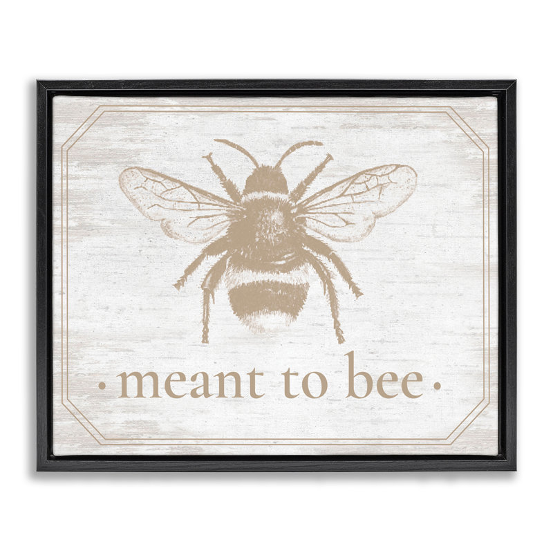 Cadre flottant Meant To Bee, H 25 po x l 31 po, Cadre flottant noir de jais