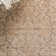 Patrick Performance Oriental Rug