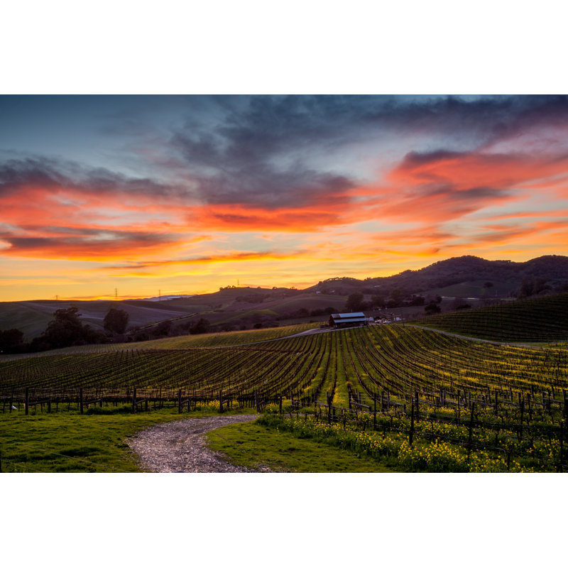Colorful Sunset Over A Napa California Vineyard by KarenWibbs - Wrapped Canvas Print, 51cm H x 76cm W x 3.8cm D