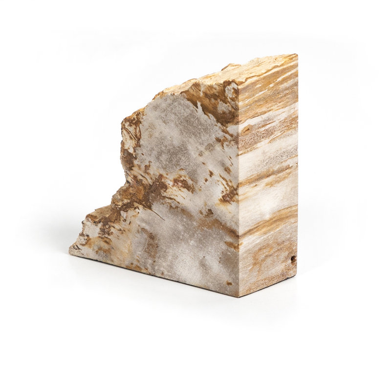 Petrified 2 Piece Wood Book End Set