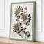Study: Daisies Botanical - Wrapped Canvas-1514623415-1514623414