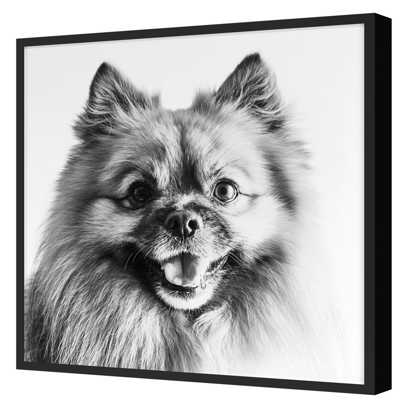 «Winning Smile 1» par Pearson, Victoria, H 30 po x l 30 po, Noir