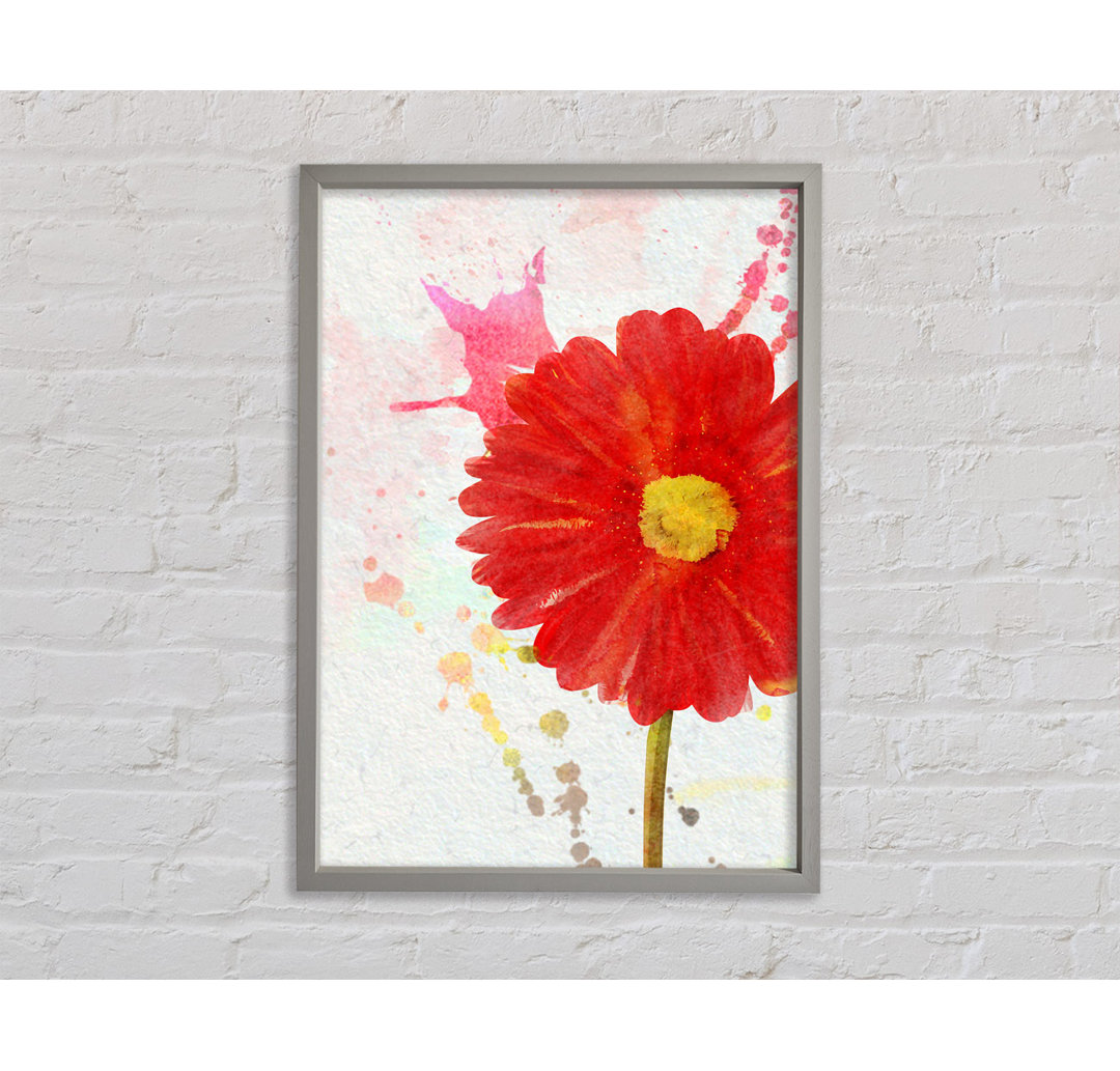 Gerbera Splash - Einzelner Bilderrahmen Kunstdrucke auf Leinwand