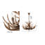 Lustre en bois 6 lumières Whitmer Eclectic