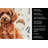 Toy Red Poodle Coffee Bar Kitchen Towel-1168063278