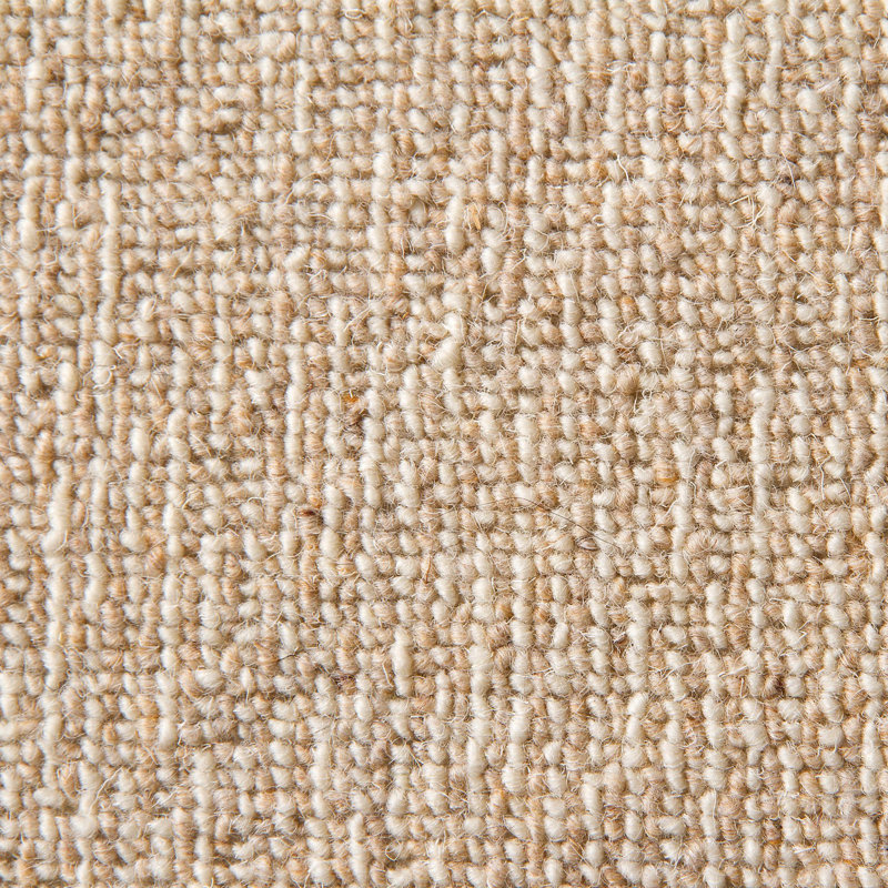 Jadyn Solid Colour Machine Woven Machine Tufted Area Rug, Rectangular 200cm x 300cm