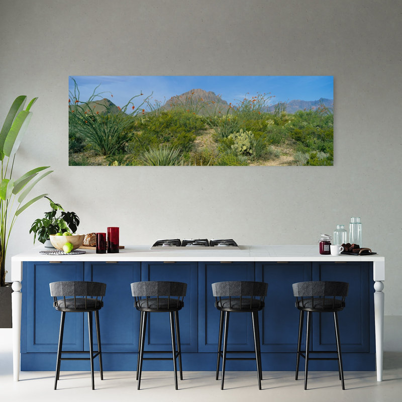 Ocotillo Plants In A Park Big Bend National Park Texas USA by Terry Thompson - Wrapped Canvas Panoramic Print
