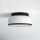 Asuna 2 Light Glass Flush Mount