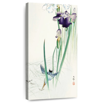 Kingfisher And Irises