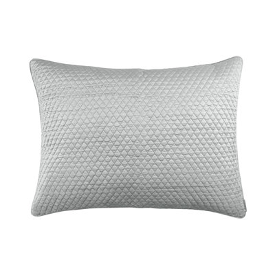 Valentina Velvet Rectangular Pillow Cover & Insert