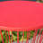 LASSEN 16" SIDE TABLE-2008599814