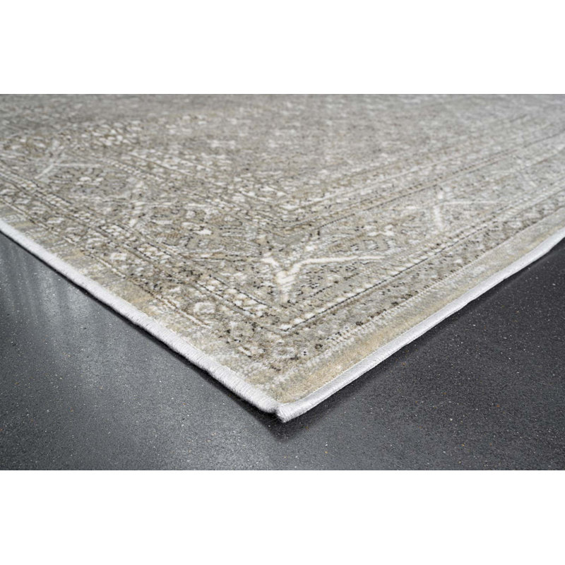 Helfrich Oriental Viscose Area Rug, Rectangle 160 x 230cm