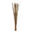 Dunshee 39.5 " Preserved in