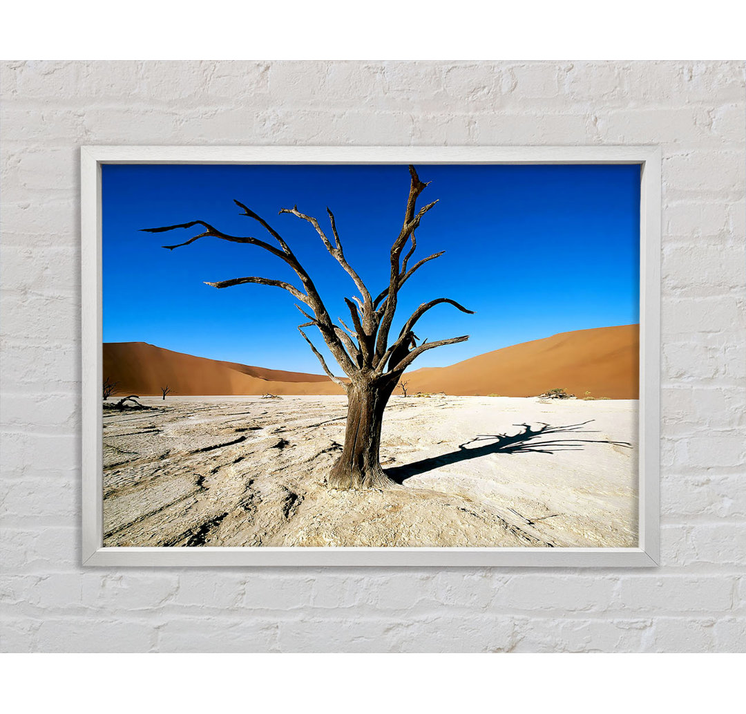 Desert Tree Branches - Single Picture Frame Kunstdrucke auf Leinwand