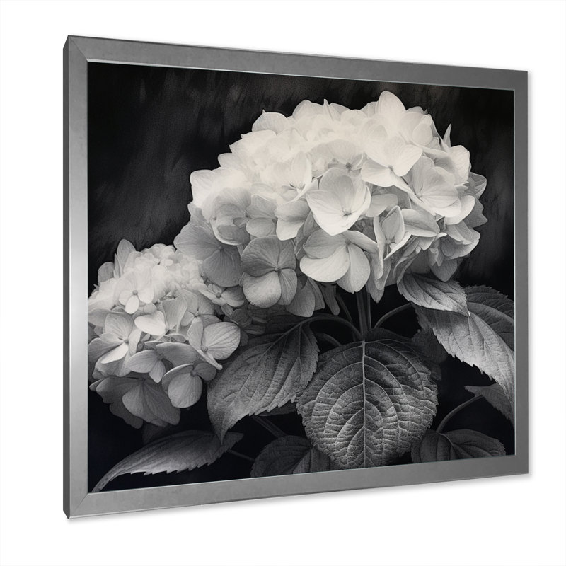 " Gray White Hydrangea Bloom II ", Silver Picture Framed, 16" H x 16" W x 1" D
