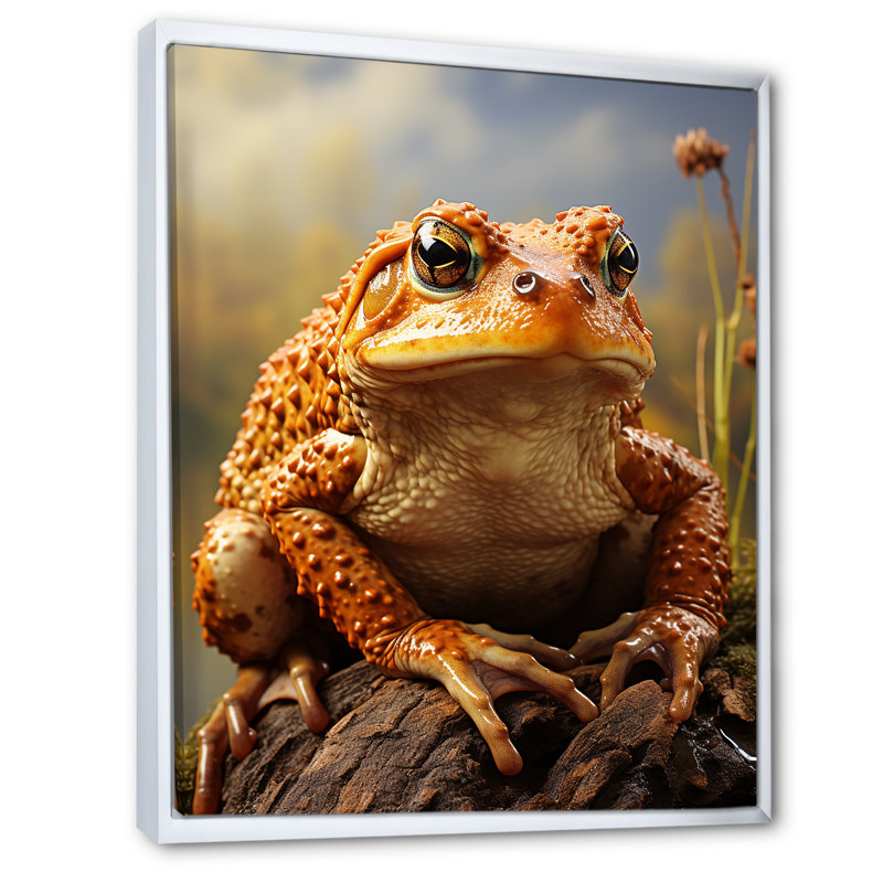 «Classic Frog Portrait I» sur toile, Cadre flottant blanc, H 32 po x l 16 po x P 1 po