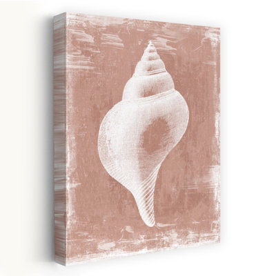 Enigma intérieur, coquillages côtiers et corail, art minimaliste Nautique; Rétro
