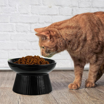 2 Pcs Ceramic Slow Feeder RaisedCat Food Bowl Elevated Cat Bowls Dry Wet Food for Cats and Dogs