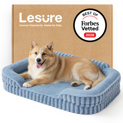 Lit pour chien Lesure, lit orthopédique imperméable pour animaux de compagnie avec côtés, fond antidérapant à haut dossier et canapé en mousse pour caisse d'œufs avec housse amovible et lavable