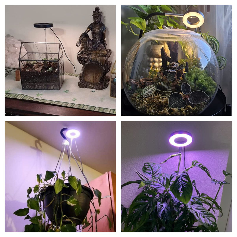 Metro Lane Grow Light