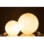 Spring / Summer 2024 Glass Globe Lamp-98451803