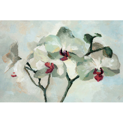 " Orchid Bloom "