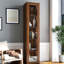 Vitrine à 5 tablettes avec portes en verre et lumières à DEL, convient à la vaisselle, trophées dans la salle à manger, profondeur 15,71 po, hauteur 71,3 po, armoire de rangement en noyer, tablettes, portes, poupées, grand, couleur