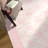 Atascadero Floral Pink Ribbon Bow Machine Washable Pink / Beige Indoor Area Rug with Non-Slip Backing-274034081
