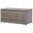 Briones Rattan Storage Box