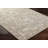 Alcaeus Oriental Indoor Rug-1729528444