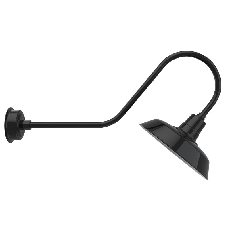 Luminaire de grange d’extérieur à del Haleigh, H 12 po x l 16 po x P 36 po, Noir